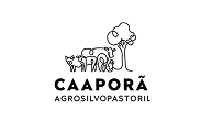 Caapora Agrosilvopastoril