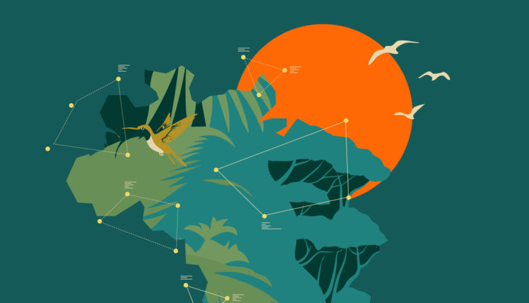 Imagem de capa da publicação Technology and Trust in the Amazon (English Version)